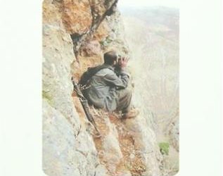 bogurtlen zamani 1 arayis445606b327bc71b25f072007c78cb425