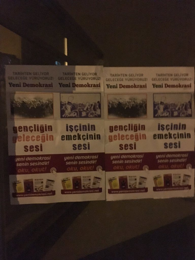 mQ2eSPNy