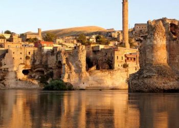 unlu biiolog demirsoidan hasankeif tepkisi turkiie cok buiuk bir hata iapti