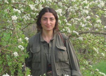 20180223 s ehit dicle2 14637ca image