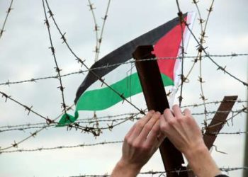 tadamonflagbarbedwire