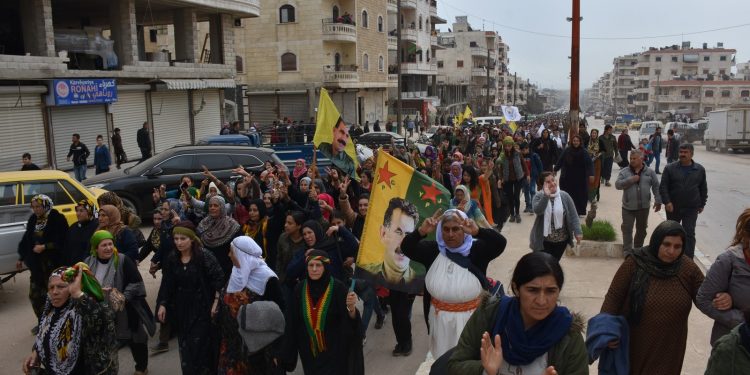 EFRIN MESA 8 ADARE 2