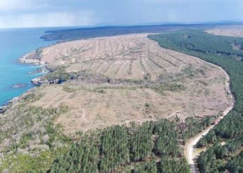 sinop nukleer santral