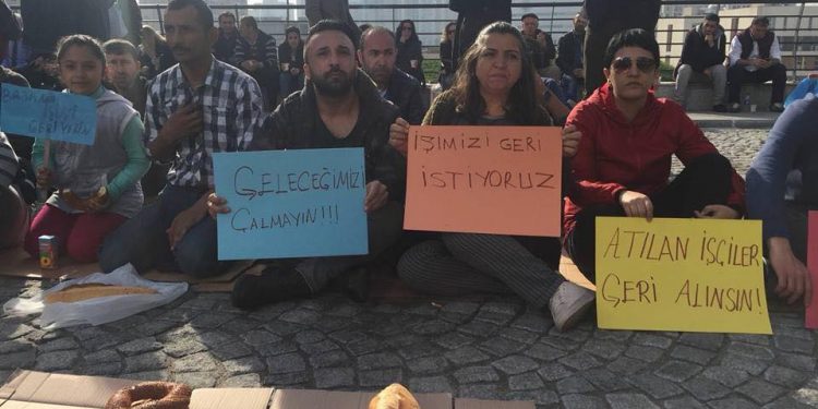 29695035 233966017344002 382428065743236062 n