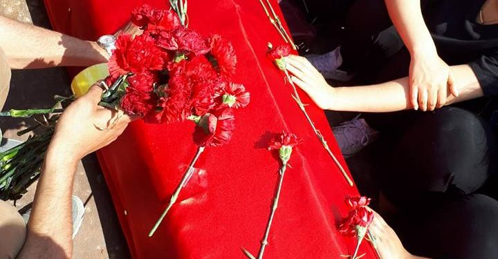 31355917 205313213529188 316712451775135744 n