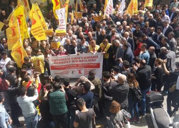 WhatsApp Image 2018 04 01 at 15.35.22