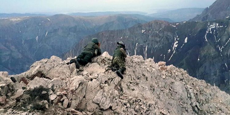 thumbs b c bb2ec2b2453fc80c6fa54262ee92724f