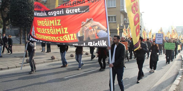 26047493 137406240275875 2258482865956109602 n