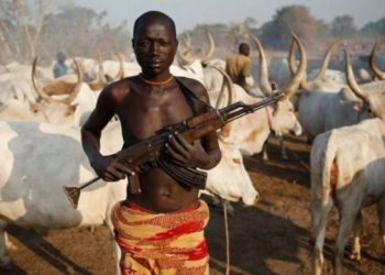 Fulani Herdsmen 600x391