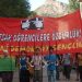 dersim ydg 38
