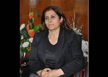 823x463cc figen manset