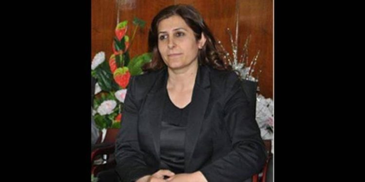 823x463cc figen manset