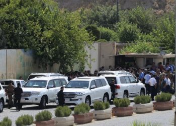 GsNeU7x2KXHH74eAIa76drLfoUU7mig6FSio1XuU