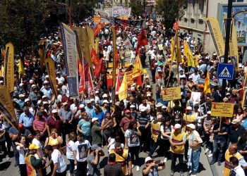 WhatsApp Image 2018 07 02 at 11.35.03