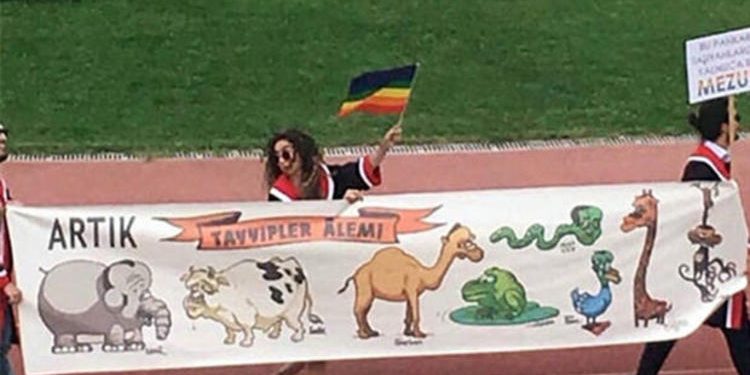 5b45d124537a001ca0e38e94