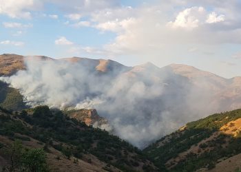 dersim orman yangini 2