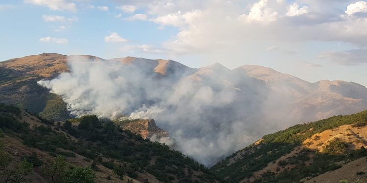 dersim orman yangini 2