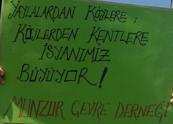 18836090 1557695904249103 245409167323238869 n