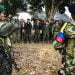 farc rebels