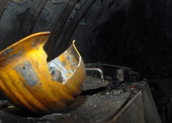 thumbs b c eb9a855701721cb28ab8c3b9b8530257