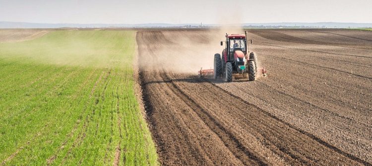 Tarım Sektörünün Başlıca Problemleri