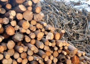 odun ve komur satislari basladi