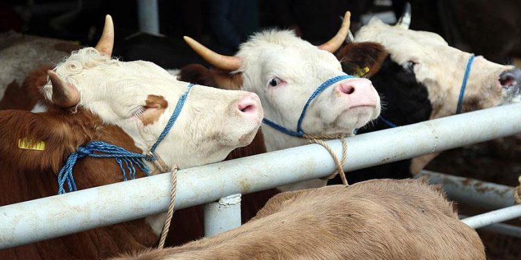 s ea7dd579bf46aecb45e52a13f35aeb66ba366fff