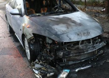 20181124 24770ce6 7cab 4dd7 8294 62fd5c2152e715de37 image