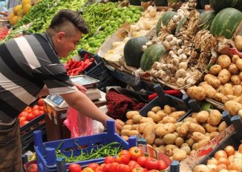 sogan patates rekor zam