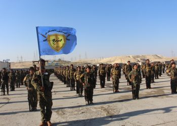 041743 minbic merasimen leskeri 4