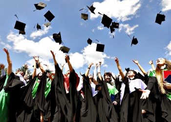 universite mezuniyet ne yapacaksin