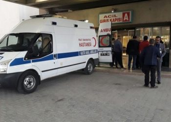 resized 7ca59 36dfe3a3277305711