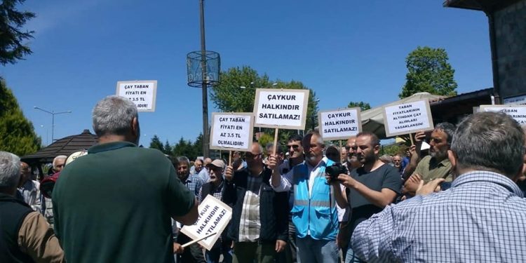 60317256 1499347263533237 24727161810190336 n