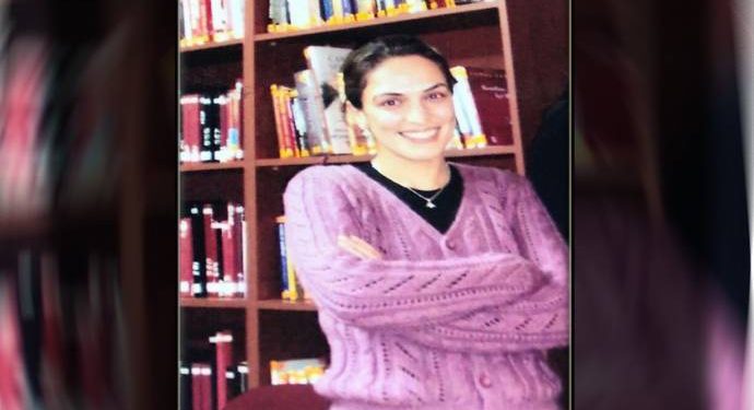 690x390cc ardil cesme1