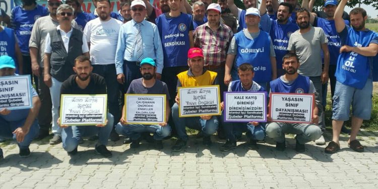 WhatsApp Image 2019 05 28 at 15.55.40