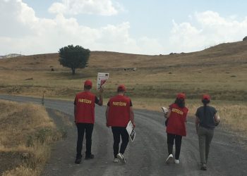 IMG 4468 e1560278419132