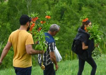 PQjZsmwVkiduz7qLtlZMR7Ftld8cXfLa2Tyz8jTz