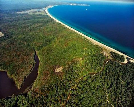 bakanlik unesconun istranca ormanlarini koruma one 1514884088