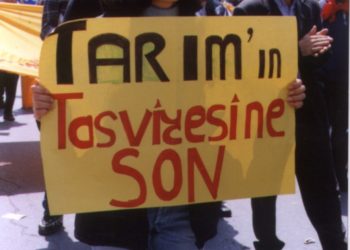 koylu eylem2