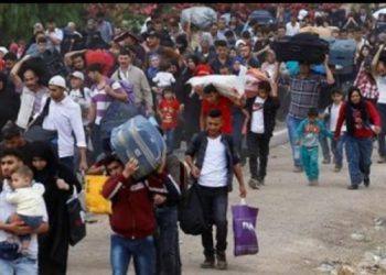 177543 sanliurfa da 639 suriyeli sinir disi edildi 5bafd1ec0b197