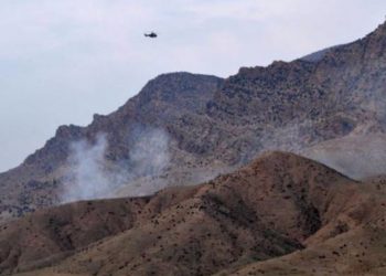 20190715 lice operasyon jpeg36277b image