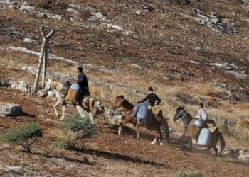 690x390cc snr ticareti arsiv