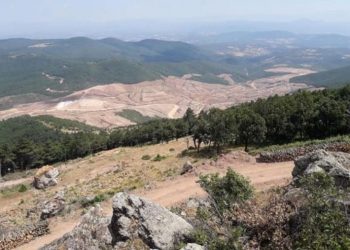 Kirazlı altin madeni agac katliam maden arazi hdp ali kenanoglu