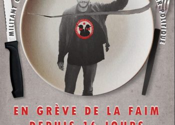 theo pgi mlm e1566330913696