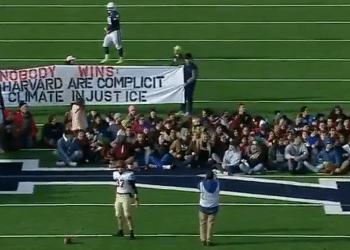 Ekran Resmi 2019 11 24 16.57.05