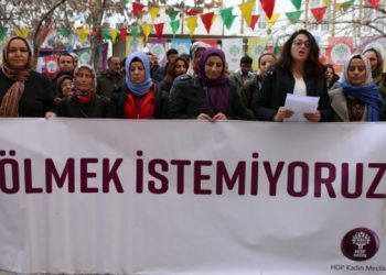 690x390cc v 18 12 2019 hdp kadin meclisi aciklama8