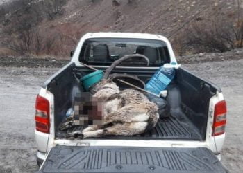 823x463cc dersim 27 12 2019 dag keciler hedefte manset