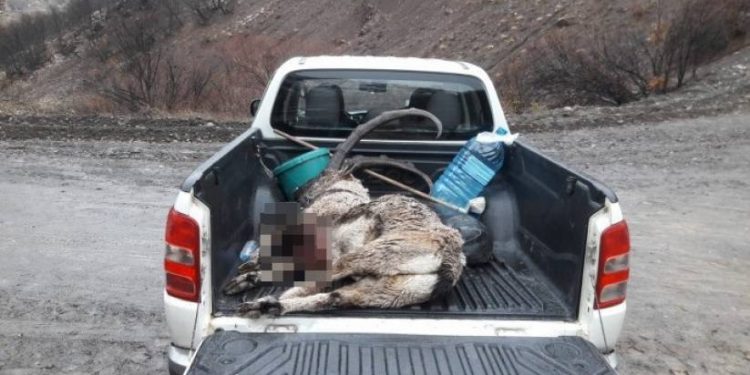 823x463cc dersim 27 12 2019 dag keciler hedefte manset