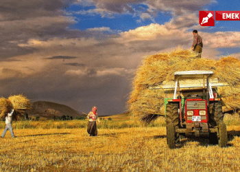 emek tarım 01