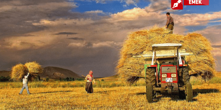 emek tarım 01